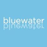 Blue Water Dental Logo