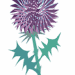 Thistle Park Dental Practice Logo
