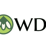 Smiletech Dental Clinic Logo