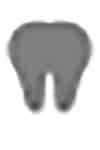 Anstey Family Dental Centre Logo