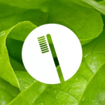 Kelly Dental Care
