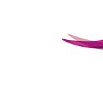 NI Dental Care Lisburn Road