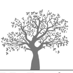 Parklands Dental Surgery